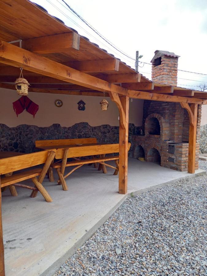 Casa Loredana Cartisoara Exterior photo