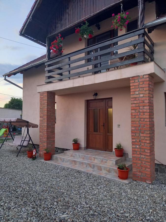 Casa Loredana Cartisoara Exterior photo