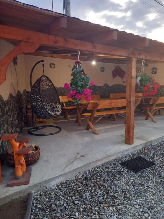 Casa Loredana Cartisoara Exterior photo
