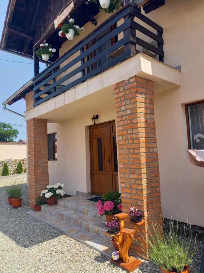 Casa Loredana Cartisoara Exterior photo